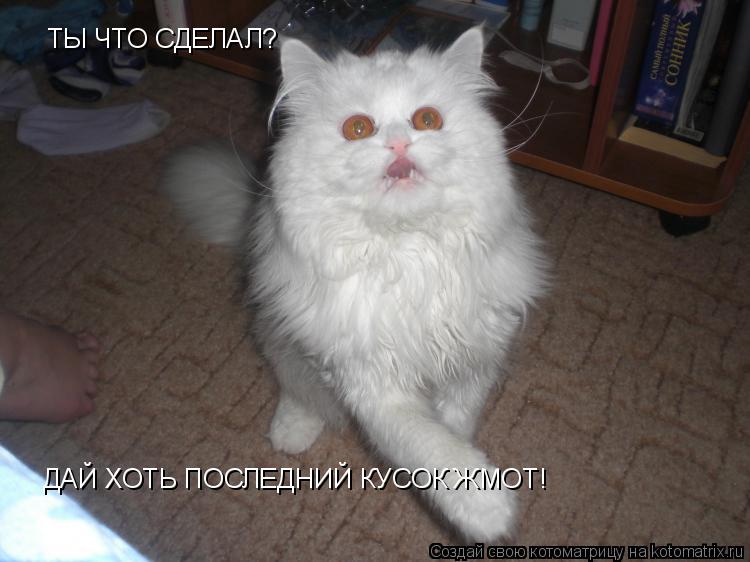 ТЫ ЧТО СДЕЛАЛ? ДАЙ ХОТЬ ПОСЛЕДНИЙ КУСОК ЖМОТ!... Котоматрица: ТЫ ЧТО СДЕЛАЛ? ДАЙ ХОТЬ ПОСЛЕДНИЙ КУСОК ЖМОТ!