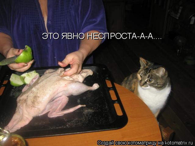 ЭТО ЯВНО НЕСПРОСТА-А-А....... Котоматрица: ЭТО ЯВНО НЕСПРОСТА-А-А....