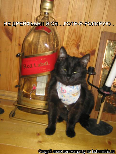 НЕ ДРЕЙФЬЬЬ!! Я СЯ....КОТР-Р-РОЛИРУЮ....... Котоматрица: НЕ ДРЕЙФЬЬЬ!! Я СЯ....КОТР-Р-РОЛИРУЮ....