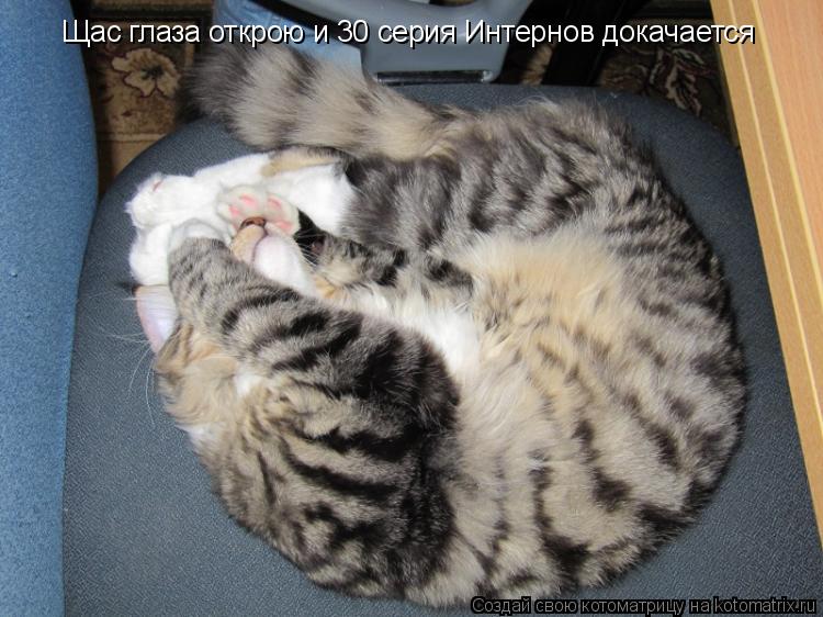 Щас глаза открою и 30 серия Интернов докачается... Котоматрица: Щас глаза открою и 30 серия Интернов докачается