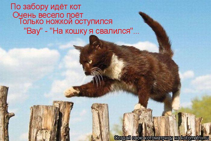 По забору идёт кот Очень весело поёт Только ножкой оступился "Вау" - "На кошку я свалился"...... Котоматрица: По забору идёт кот Очень весело поёт Только ножкой оступился "Вау" - "На кошку я свалился"...
