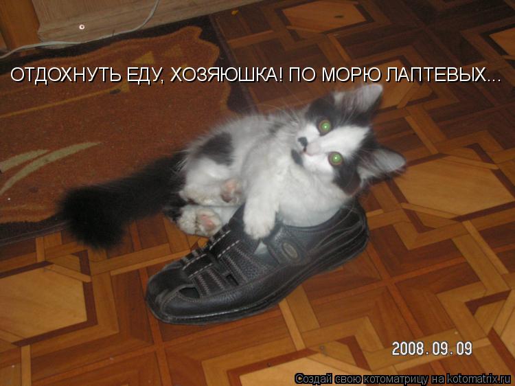 ОТДОХНУТЬ ЕДУ, ХОЗЯЮШКА! ПО МОРЮ ЛАПТЕВЫХ...... Котоматрица: ОТДОХНУТЬ ЕДУ, ХОЗЯЮШКА! ПО МОРЮ ЛАПТЕВЫХ...
