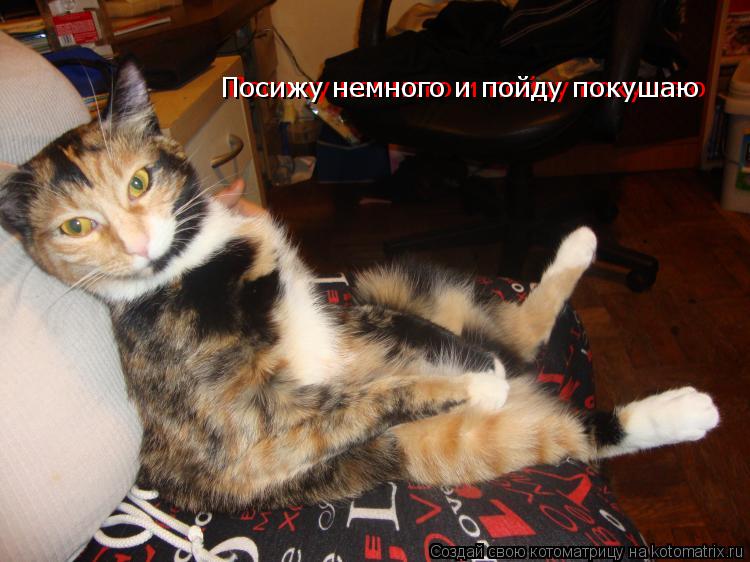 Посижу немного и пойду покушаю Посижу немного и пойду покушаю... Котоматрица: Посижу немного и пойду покушаю Посижу немного и пойду покушаю