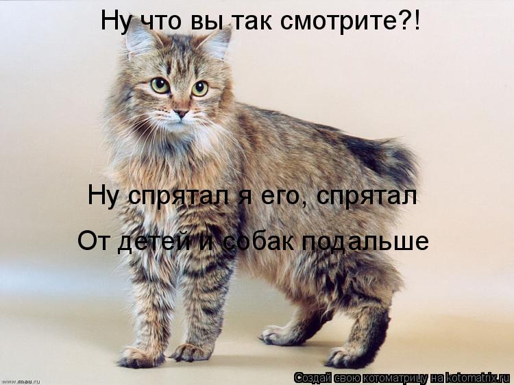 Ну что вы так смотрите?! Ну спрятал я его, спрятал От детей и собак подальше... Котоматрица: Ну что вы так смотрите?! Ну спрятал я его, спрятал От детей и собак подальше