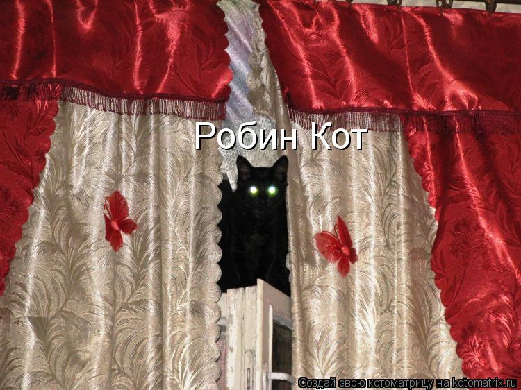Робин Кот... Котоматрица: Робин Кот