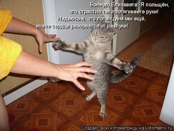 Бонжур, Елизавета! Я польщён, что страстно так протягиваете руки! Надеюсь я, что потанцуем мы ещё, ин... Котоматрица: Бонжур, Елизавета! Я польщён, что страстно так протягиваете руки! Надеюсь я, что потанцуем мы ещё, иначе сердце разорвётся от разлуки!