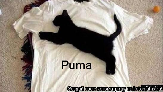 Puma... Котоматрица: Puma
