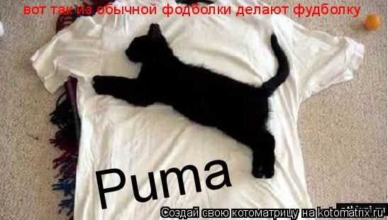 вот так из обычной фодболки делают фудболку Puma... Котоматрица: вот так из обычной фодболки делают фудболку Puma