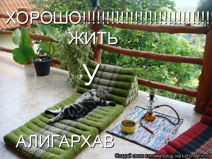 ХОРОШО!!!!!!!!!!!!!!!!!!!!!!!!!!!!!!!!!!!!!!!!!!!!!!!!!!!!!!!!!!!!!!!!!!!!!!!!!1 ЖИТЬ У АЛИГАРХАВ... Котоматрица: ХОРОШО!!!!!!!!!!!!!!!!!!!!!!!!!!!!!!!!!!!!!!!!!!!!!!!!!!!!!!!!!!!!!!!!!!!!!!!!!1 ЖИТЬ У АЛИГАРХАВ