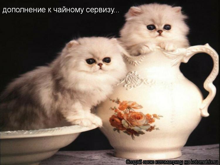 дополнение к чайному сервизу...... Котоматрица: дополнение к чайному сервизу...