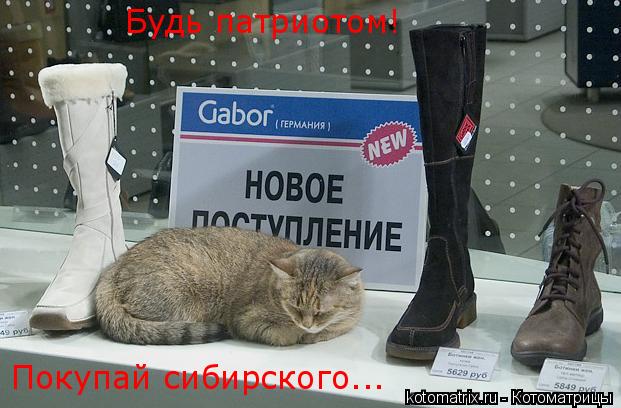Будь патриотом! Покупай сибирского...... Котоматрица: Будь патриотом! Покупай сибирского...
