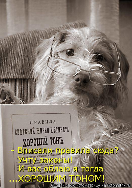 - Вписали правила сюда? Учту законы! И вас облаю я тогда ...ХОРОШИМ ТОНОМ!... Котоматрица: - Вписали правила сюда? Учту законы! И вас облаю я тогда ...ХОРОШИМ ТОНОМ!