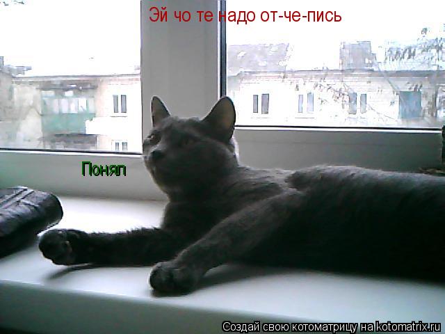 Эй чо те надо от-че-пись Понял... Котоматрица: Эй чо те надо от-че-пись Понял