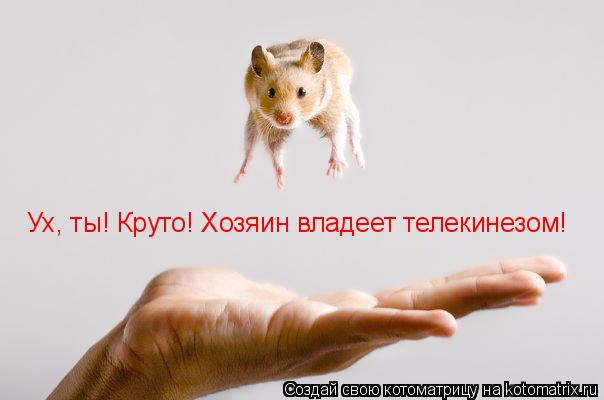 Ух, ты! Круто! Хозяин владеет телекинезом!... Котоматрица: Ух, ты! Круто! Хозяин владеет телекинезом!