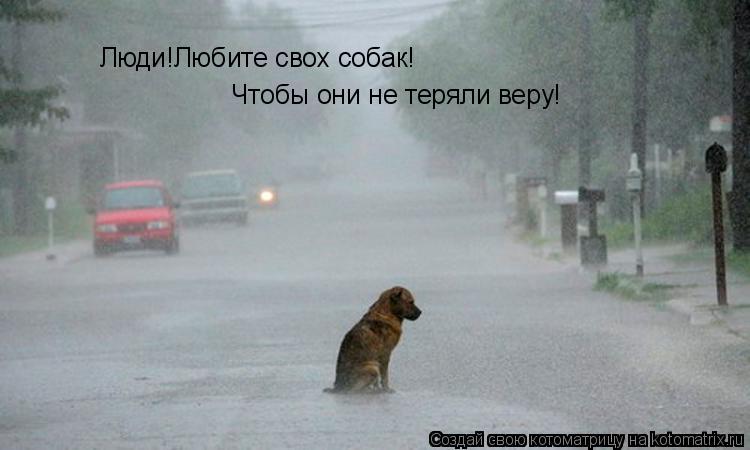 Люди!Любите свох собак! Чтобы они не теряли веру!... Котоматрица: Люди!Любите свох собак! Чтобы они не теряли веру!