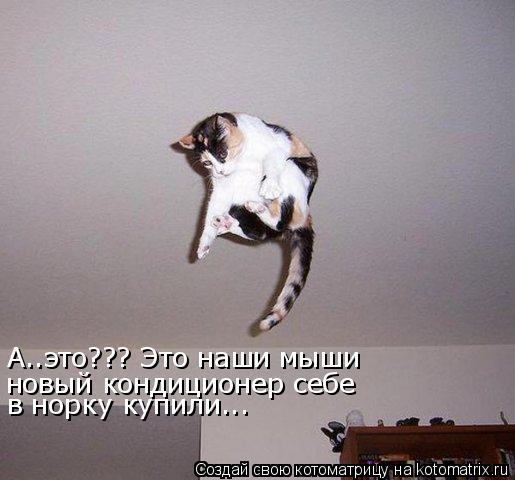 А..это??? Это наши мыши новый кондиционер себе в норку купили...... Котоматрица: А..это??? Это наши мыши новый кондиционер себе в норку купили...