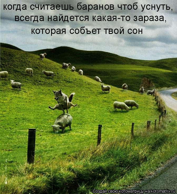 когда считаешь баранов чтоб уснуть, всегда найдется какая-то зараза, которая собъет твой сон... Котоматрица: когда считаешь баранов чтоб уснуть, всегда найдется какая-то зараза, которая собъет твой сон