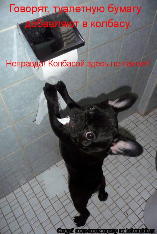 Говорят, туалетную бумагу добавляют в колбасу. Неправда! Колбасой здесь не пахнет!... Котоматрица: Говорят, туалетную бумагу добавляют в колбасу. Неправда! Колбасой здесь не пахнет!