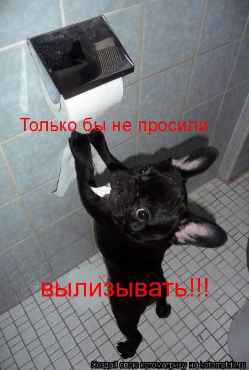 Только бы не просили вылизывать!!!... Котоматрица: Только бы не просили вылизывать!!!