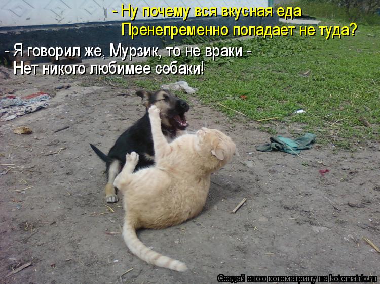 - Ну почему вся вкусная еда Пренепременно попадает не туда? - Я говорил же, Мурзик, то не враки - Нет... Котоматрица: - Ну почему вся вкусная еда Пренепременно попадает не туда? - Я говорил же, Мурзик, то не враки - Нет никого любимее собаки!