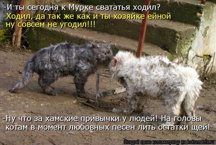 -И ты сегодня к Мурке свататья ходил? -Ходил, да так же как и ты хозяйке ейной ну совсем не угодил!!... Котоматрица: -И ты сегодня к Мурке свататья ходил? -Ходил, да так же как и ты хозяйке ейной ну совсем не угодил!!! -Ну что за хамские привычки у людей! На гол