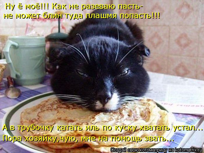 А в трубочку катать иль по куску хватать устал... Пора хозяйку,чую, мне на помощь звать... Ну ё моё!!... Котоматрица: А в трубочку катать иль по куску хватать устал... Пора хозяйку,чую, мне на помощь звать... Ну ё моё!!! Как не разеваю пасть- не может блин туда пл