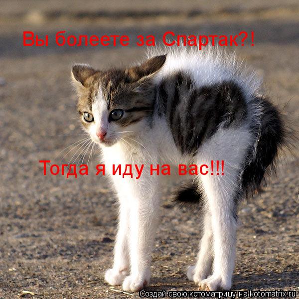 Вы болеете за Спартак?! Тогда я иду на вас!!!... Котоматрица: Вы болеете за Спартак?! Тогда я иду на вас!!!
