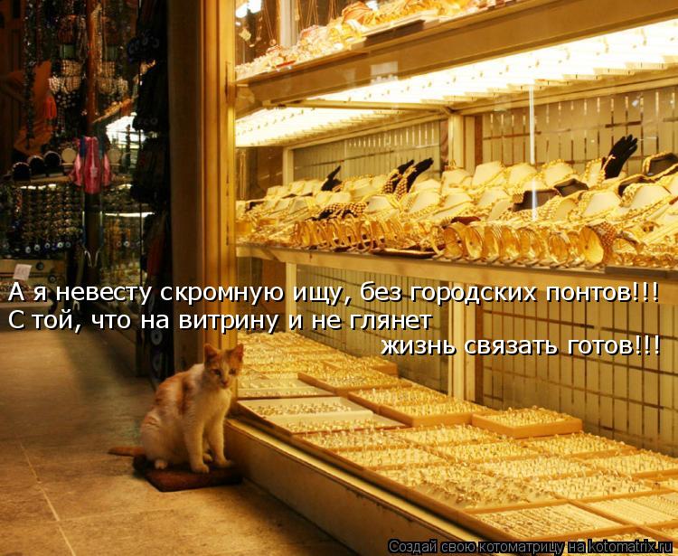 А я невесту скромную ищу, без городских понтов!!! С той, что на витрину и не глянет жизнь связать го... Котоматрица: А я невесту скромную ищу, без городских понтов!!! С той, что на витрину и не глянет жизнь связать готов!!!