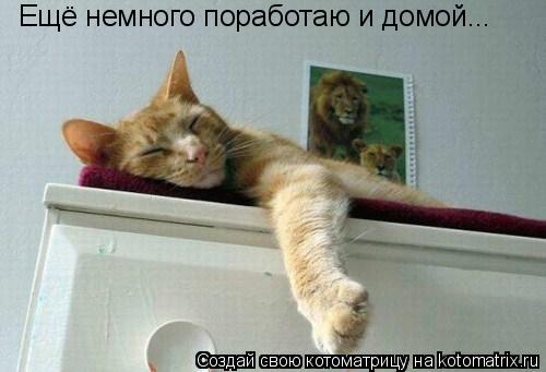 Ещё немного поработаю и домой...... Котоматрица: Ещё немного поработаю и домой...