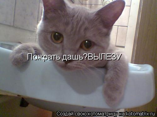 Пожрать дашь?ВЫЛЕЗУ... Котоматрица: Пожрать дашь?ВЫЛЕЗУ