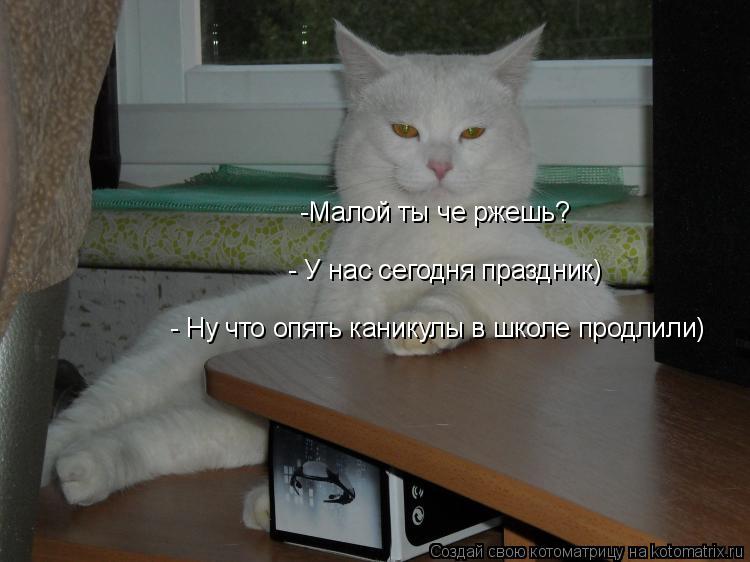 -Малой ты че ржешь? - У нас сегодня праздник) - Ну что опять каникулы в школе продлили)... Котоматрица: -Малой ты че ржешь? - У нас сегодня праздник) - Ну что опять каникулы в школе продлили)