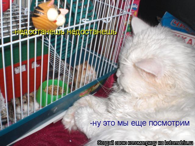-недостанешь недостанешь -ну это мы еще посмотрим... Котоматрица: -недостанешь недостанешь -ну это мы еще посмотрим