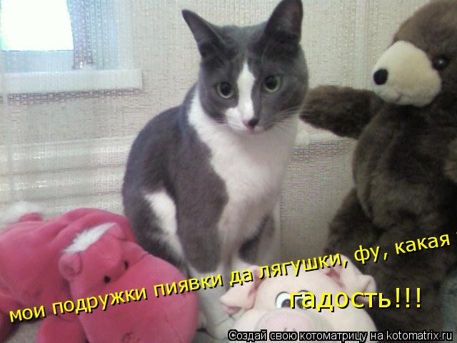мои подружки пиявки да лягушки, фу, какая гадость гадость!!!... Котоматрица: мои подружки пиявки да лягушки, фу, какая гадость гадость!!!