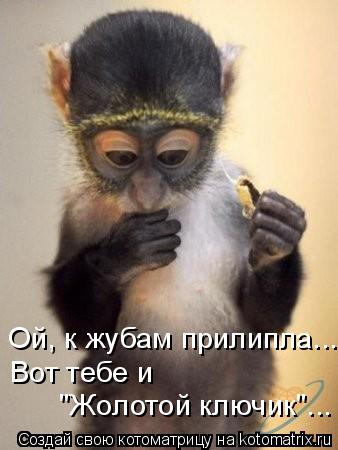 Ой, к жубам прилипла.... Вот тебе и "Жолотой ключик"...... Котоматрица: Ой, к жубам прилипла.... Вот тебе и "Жолотой ключик"...