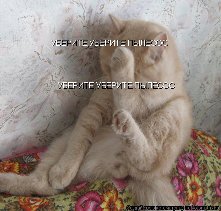 УБЕРИТЕ,УБЕРИТЕ ПЫЛЕСОС УБЕРИТЕ,УБЕРИТЕ ПЫЛЕСОС... Котоматрица: УБЕРИТЕ,УБЕРИТЕ ПЫЛЕСОС УБЕРИТЕ,УБЕРИТЕ ПЫЛЕСОС
