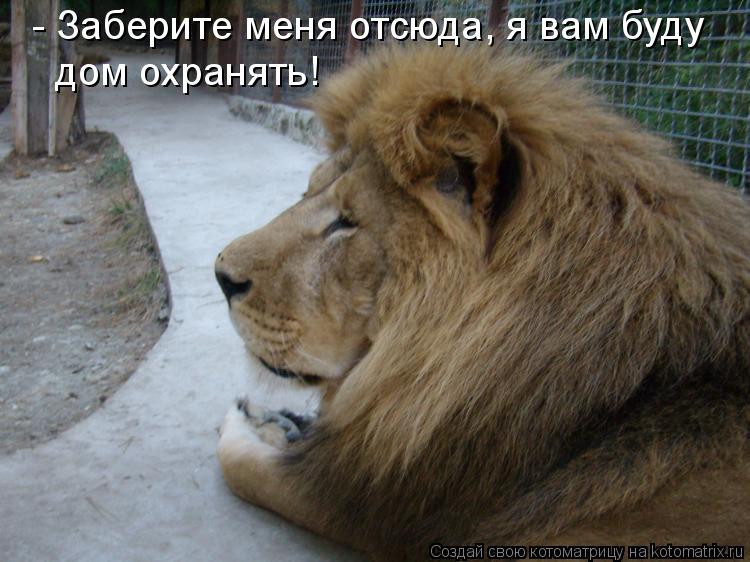 - Заберите меня отсюда, я вам буду дом охранять!... Котоматрица: - Заберите меня отсюда, я вам буду дом охранять!