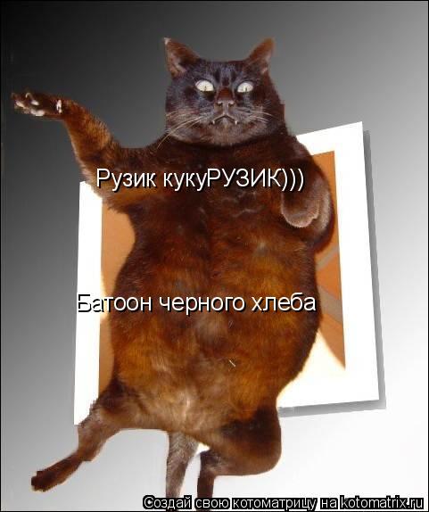 Рузик кукуРУЗИК))) Батоон черного хлеба... Котоматрица: Рузик кукуРУЗИК))) Батоон черного хлеба