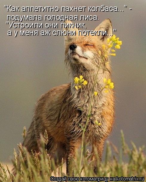 "Как аппетитно пахнет колбаса..." - подумала голодная лиса. "Устроили они пикник, а у меня аж слюни ... Котоматрица: "Как аппетитно пахнет колбаса..." - подумала голодная лиса. "Устроили они пикник, а у меня аж слюни потекли..."