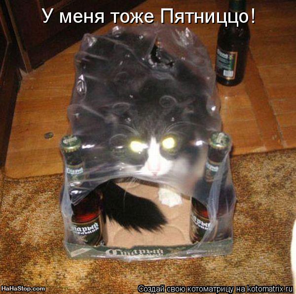 У меня тоже Пятниццо!... Котоматрица: У меня тоже Пятниццо!