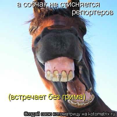 а собчак не стисняется репортеров (встречает без грима)... Котоматрица: а собчак не стисняется репортеров (встречает без грима)