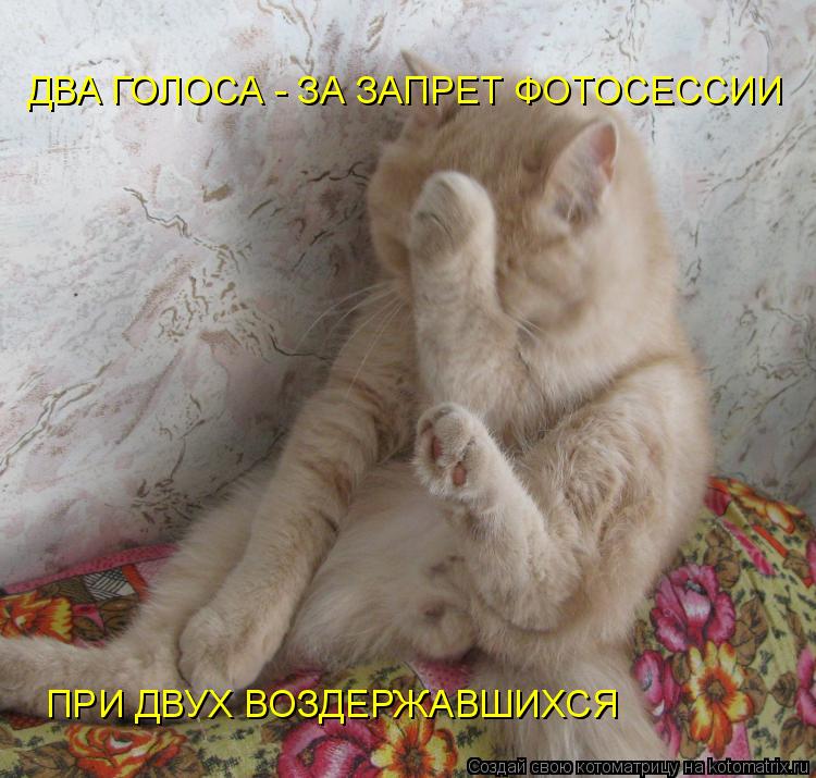 Котоматрица: ДВА ГОЛОСА - ЗА ЗАПРЕТ ФОТОСЕССИИ ПРИ ДВУХ ВОЗДЕРЖАВШИХСЯ