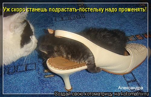 Котоматрица: Уж скоро станешь подрастать-постельку надо променять!