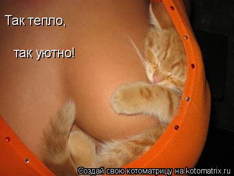 Котоматрица: Так тепло, так уютно!