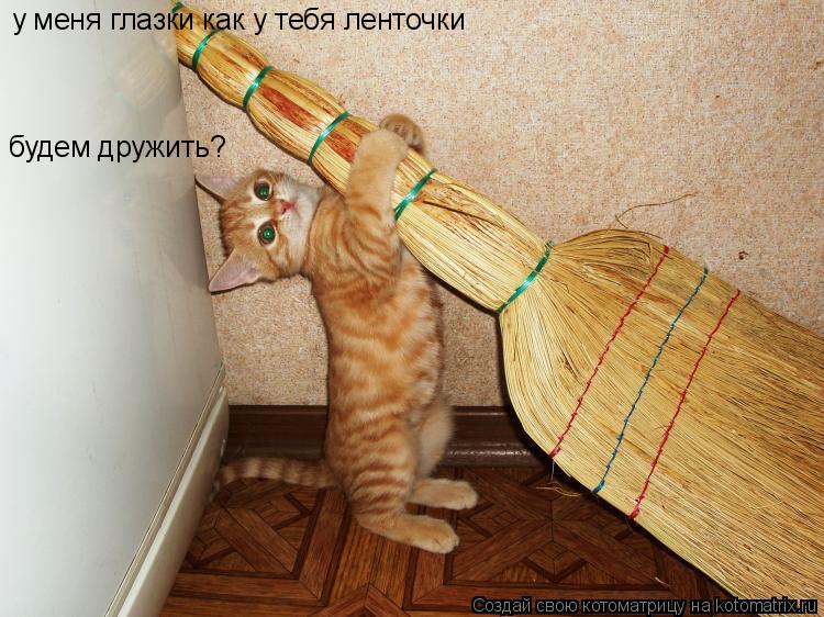 Котоматрица: у меня глазки как у тебя ленточки будем дружить?