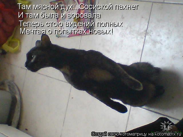 Котоматрица: Там мясной дух...Сосиской пахнет  И там была и воровала Теперь стою видений полных Мечтая о попытках новых!
