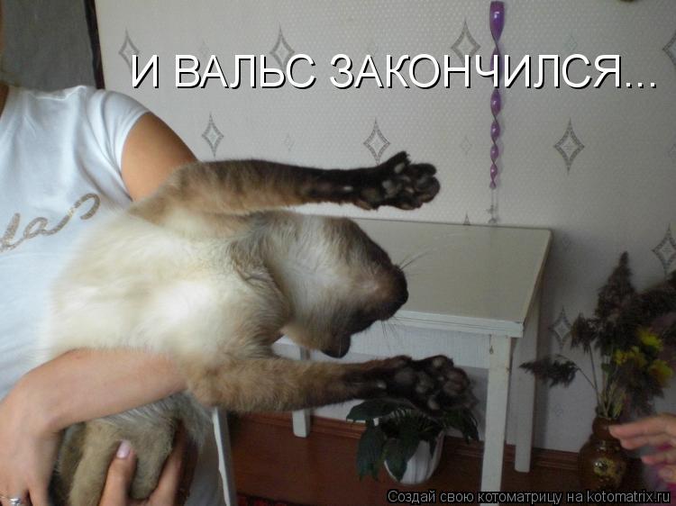 Котоматрица: И ВАЛЬС ЗАКОНЧИЛСЯ...