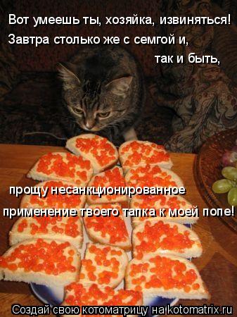 Котоматрица: Вот умеешь ты, хозяйка, извиняться! Завтра столько же с семгой и,  так и быть, прощу несанкционированное применение твоего тапка к моей попе!