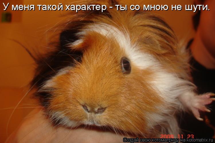 Котоматрица: У меня такой характер - ты со мною не шути.