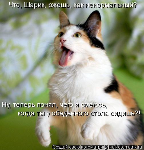 Что, Шарик, ржешь, как ненормальный? когда ты у обеденного стола сидишь?! Ну, теперь понял, чего я см... Котоматрица: Что, Шарик, ржешь, как ненормальный? когда ты у обеденного стола сидишь?! Ну, теперь понял, чего я смеюсь,