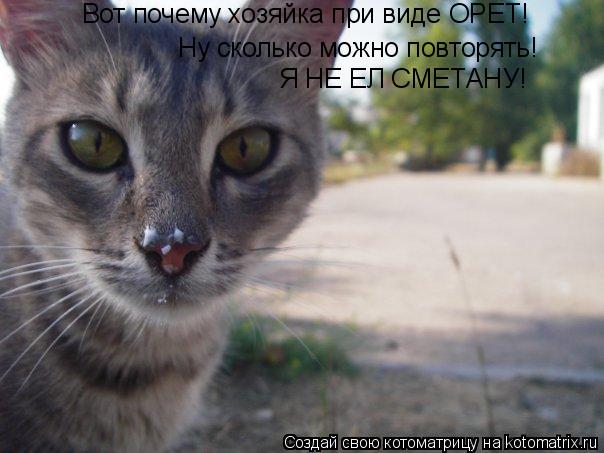 Ну сколько можно повторять! Вот почему хозяйка при виде ОРЕТ! Я НЕ ЕЛ СМЕТАНУ!... Котоматрица: Ну сколько можно повторять! Вот почему хозяйка при виде ОРЕТ! Я НЕ ЕЛ СМЕТАНУ!